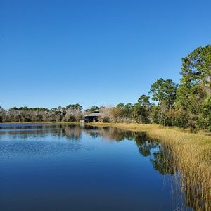 Meet your Posher, Ilona